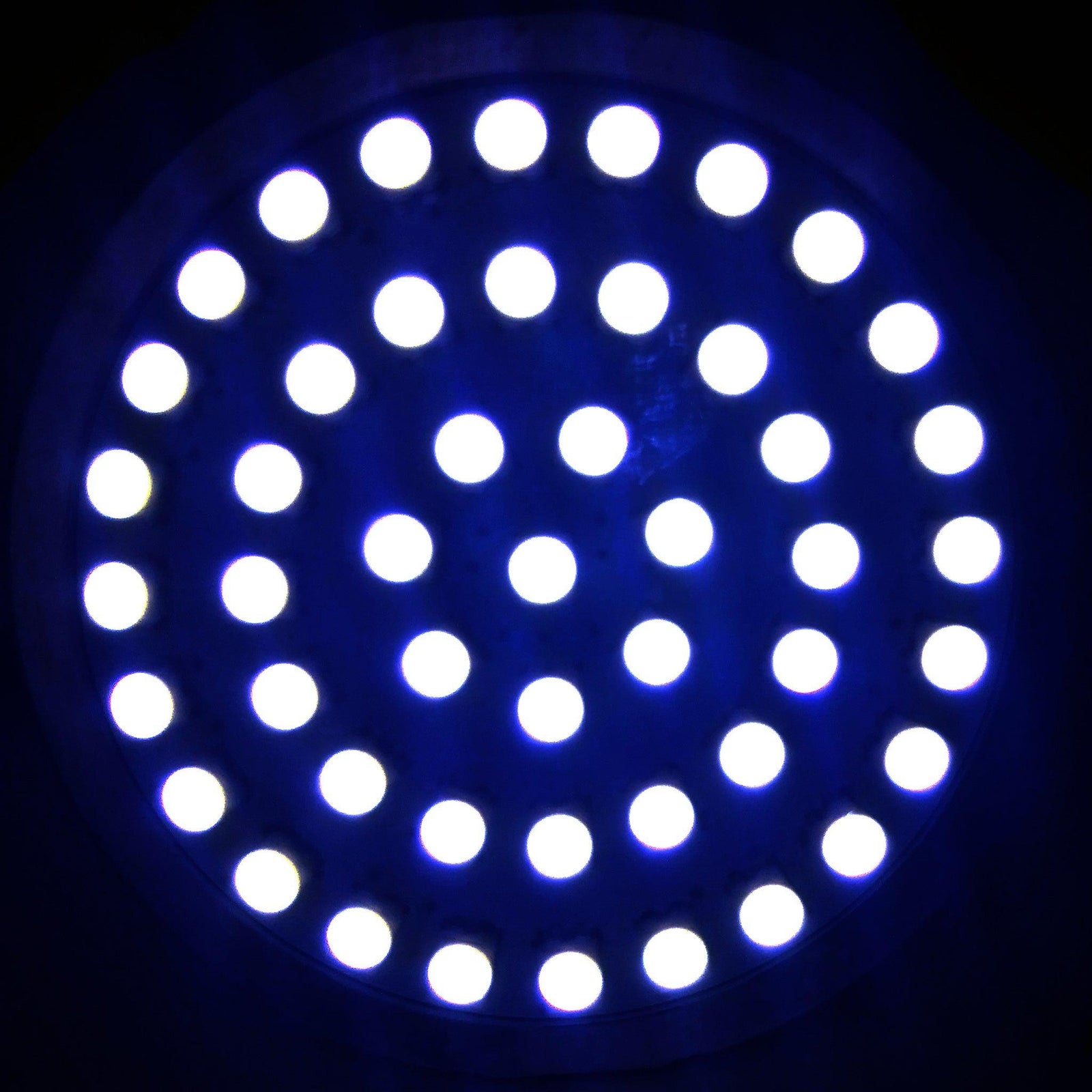 RRI SigZ Front LED 1157 Turn Signals - Running Lights - White Label Edition-LED Turn Signals-Rogue Rider Industries-Rogue Rider Industries for Harley Davidson Motorcycles