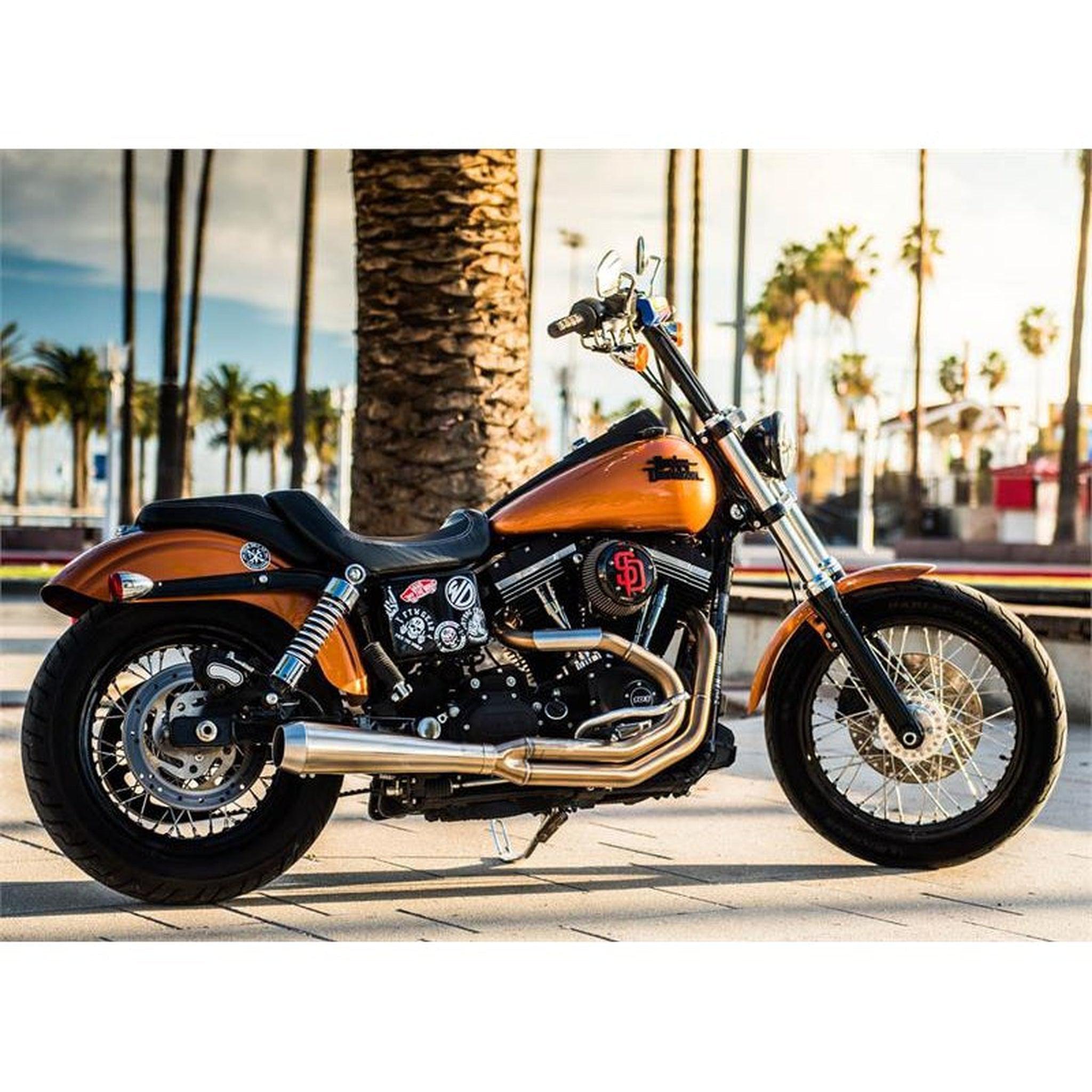 Bassani road clearance rage dyna