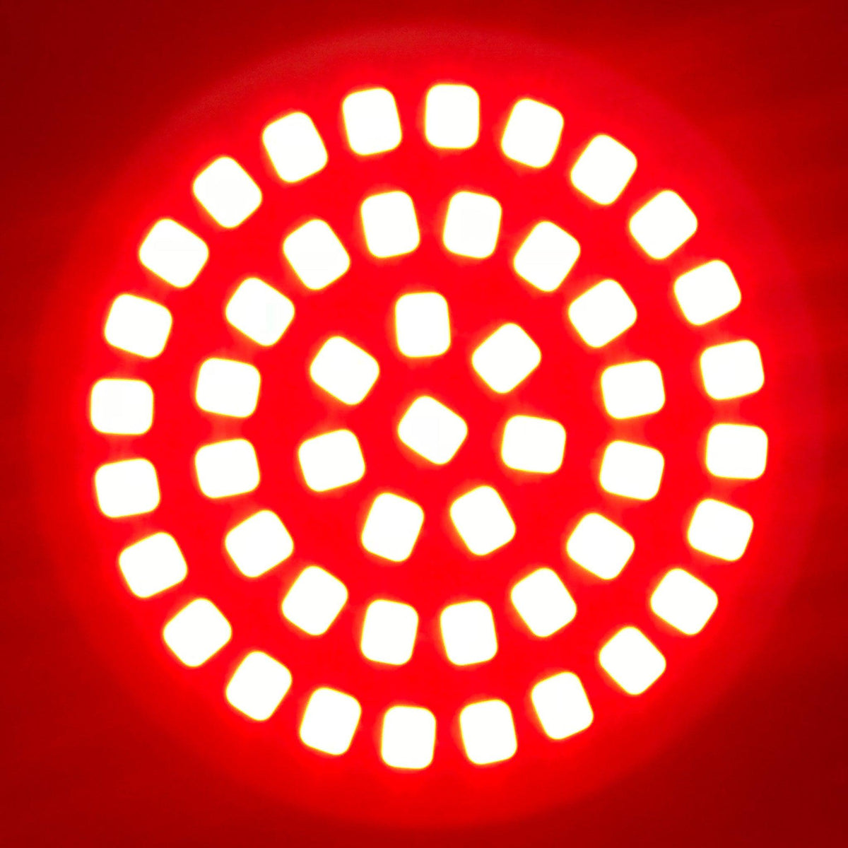 RRI SigZ Rear LED Turn Signals - White Label Edition-LED Turn Signals-Rogue Rider Industries-Rogue Rider Industries for Harley Davidson Motorcycles